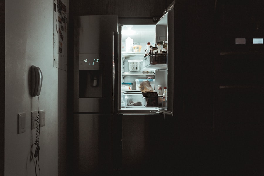 Photo Refrigerator 